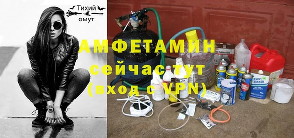 прущие грибы Аркадак