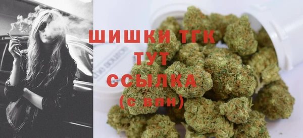 прущие грибы Аркадак