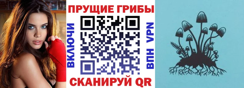 Псилоцибиновые грибы мухоморы KRAKEN ONION Углегорск